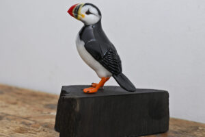 Puffin Stand 5