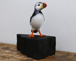 Puffin Stand 6