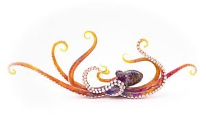 Octopus - Orange