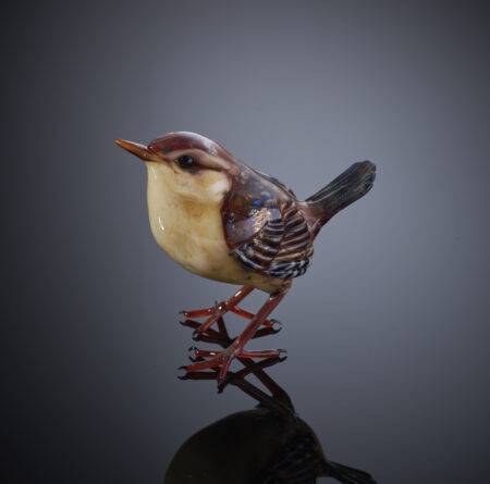 glass-wren